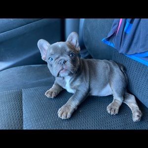 Meet your Posher, Mya